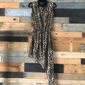 Leopard Print Dress